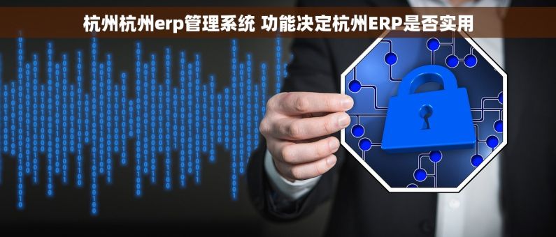 杭州杭州erp管理系统 功能决定杭州ERP是否实用
