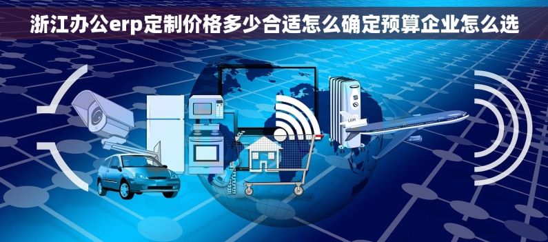 浙江办公erp定制价格多少合适怎么确定预算企业怎么选