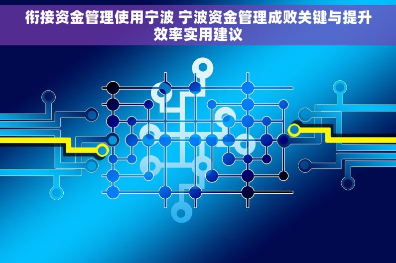 衔接资金管理使用宁波 宁波资金管理成败关键与提升效率实用建议