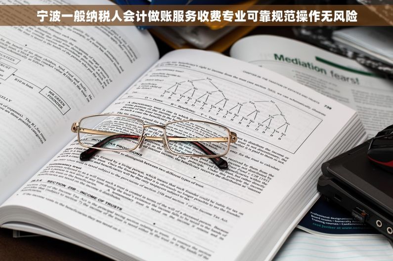 宁波一般纳税人会计做账服务收费专业可靠规范操作无风险