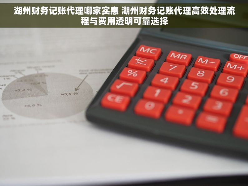 湖州财务记账代理哪家实惠 湖州财务记账代理高效处理流程与费用透明可靠选择