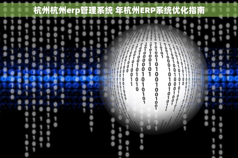 杭州杭州erp管理系统 年杭州ERP系统优化指南