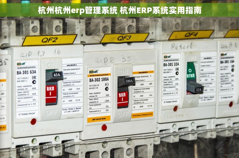 杭州杭州erp管理系统 杭州ERP系统实用指南