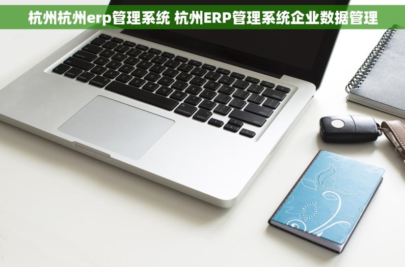杭州杭州erp管理系统 杭州ERP管理系统企业数据管理