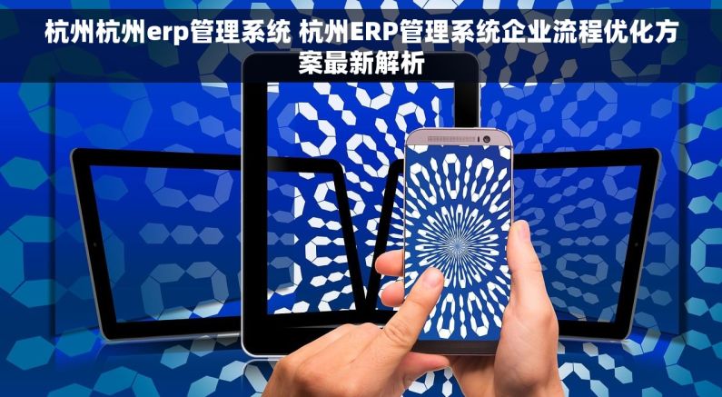 杭州杭州erp管理系统 杭州ERP管理系统企业流程优化方案最新解析