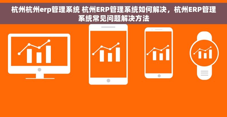 杭州杭州erp管理系统 杭州ERP管理系统如何解决，杭州ERP管理系统常见问题解决方法