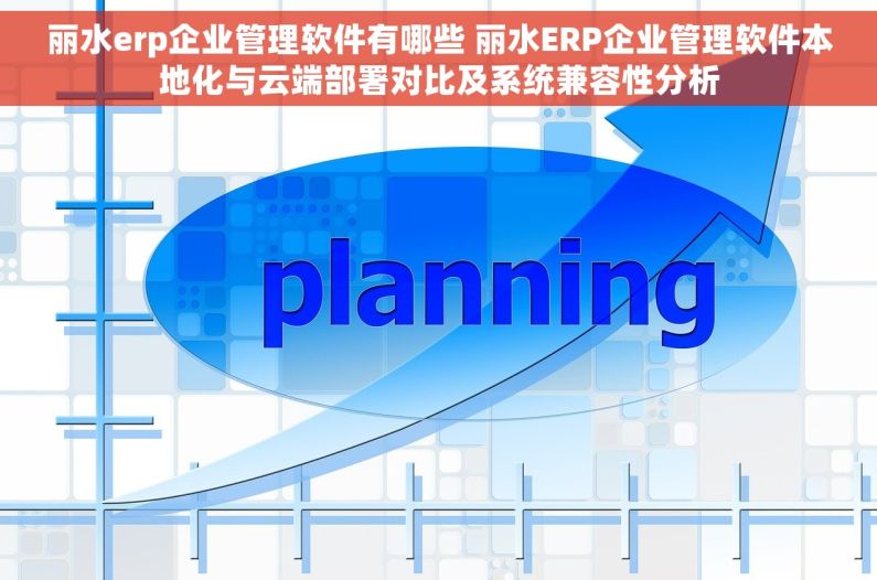 丽水erp企业管理软件有哪些 丽水ERP企业管理软件本地化与云端部署对比及系统兼容性分析