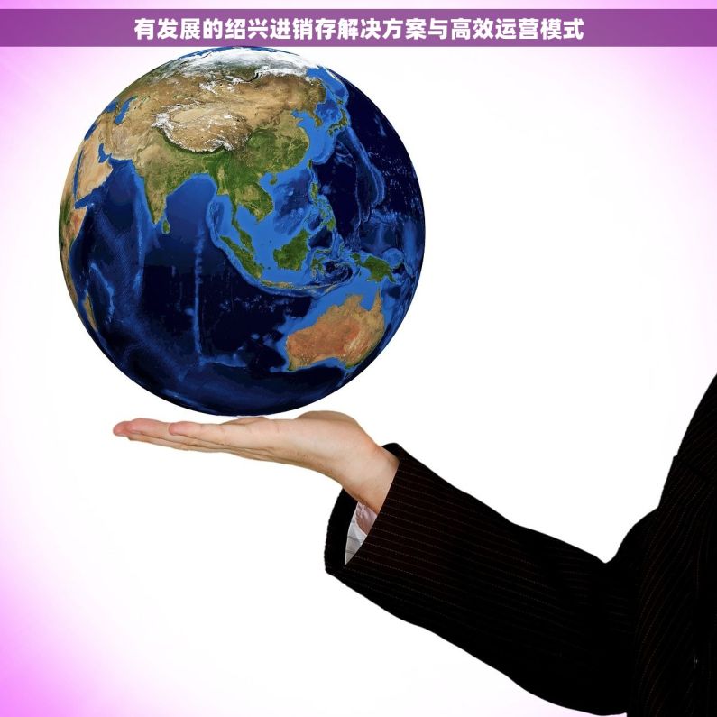 有发展的绍兴进销存解决方案与高效运营模式