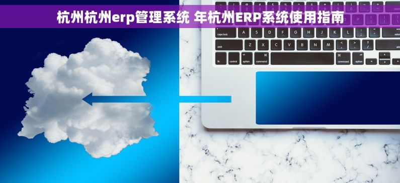 杭州杭州erp管理系统 年杭州ERP系统使用指南