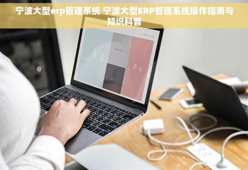 宁波大型erp管理系统 宁波大型ERP管理系统操作指南与知识科普