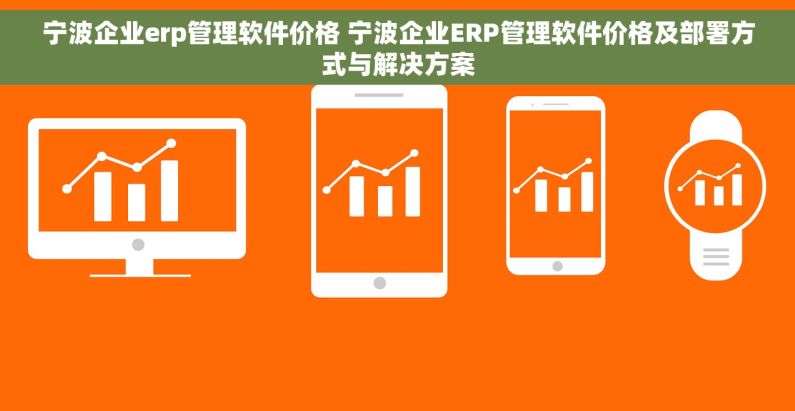宁波企业erp管理软件价格 宁波企业ERP管理软件价格及部署方式与解决方案