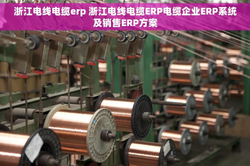 浙江电线电缆erp 浙江电线电缆ERP电缆企业ERP系统及销售ERP方案