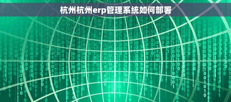 杭州杭州erp管理系统如何部署