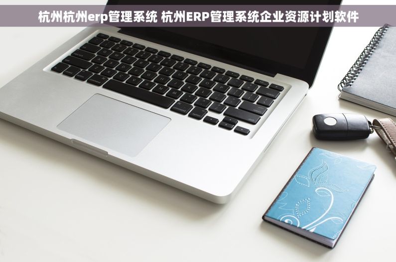 杭州杭州erp管理系统 杭州ERP管理系统企业资源计划软件