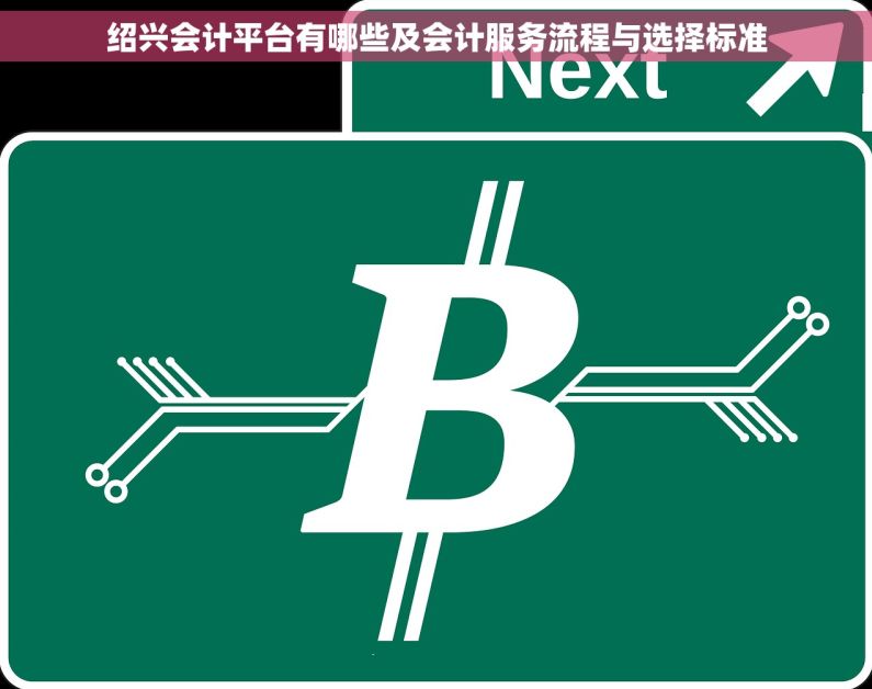 绍兴会计平台有哪些及会计服务流程与选择标准