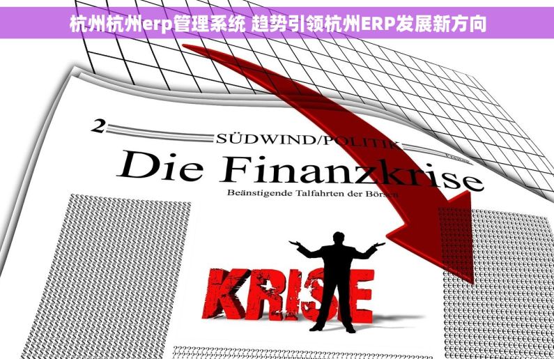杭州杭州erp管理系统 趋势引领杭州ERP发展新方向