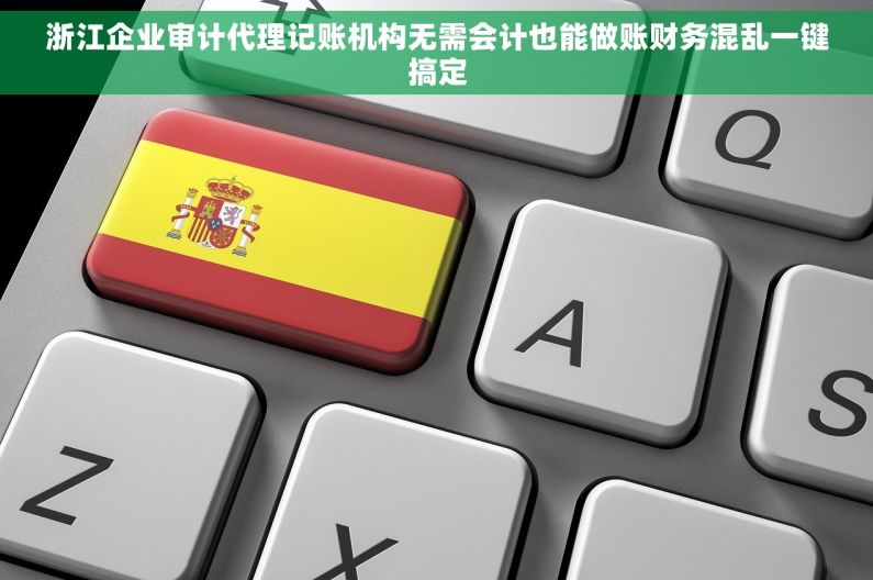 浙江企业审计代理记账机构无需会计也能做账财务混乱一键搞定