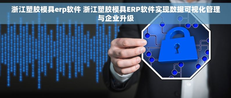 浙江塑胶模具erp软件 浙江塑胶模具ERP软件实现数据可视化管理与企业升级