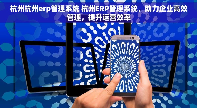 杭州杭州erp管理系统 杭州ERP管理系统，助力企业高效管理，提升运营效率
