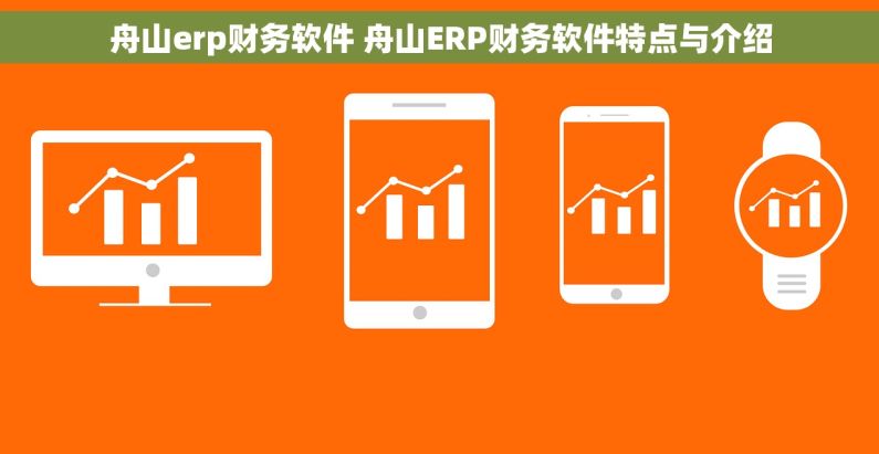 舟山erp财务软件 舟山ERP财务软件特点与介绍