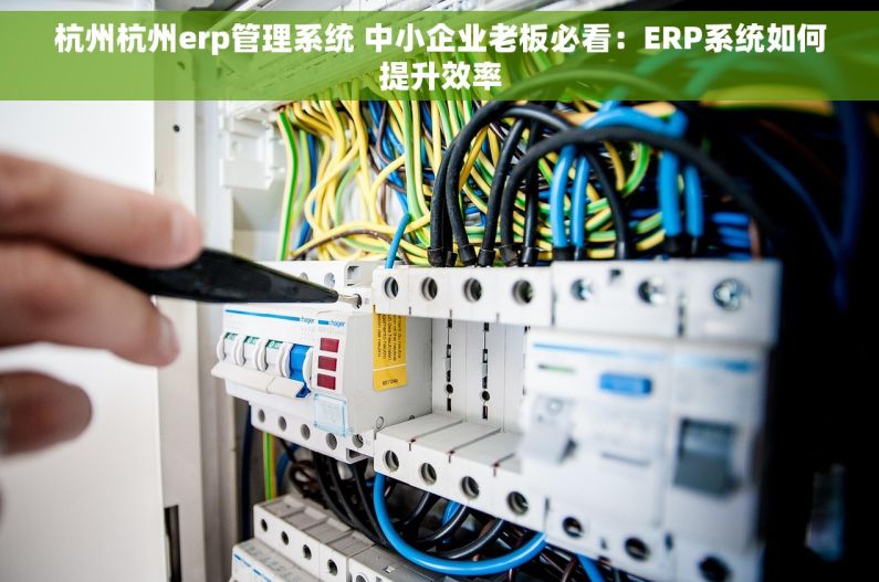 杭州杭州erp管理系统 中小企业老板必看：ERP系统如何提升效率