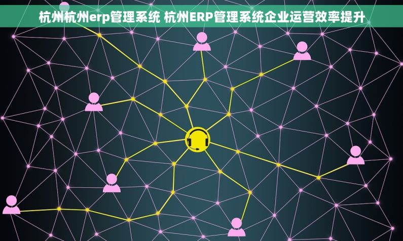 杭州杭州erp管理系统 杭州ERP管理系统企业运营效率提升