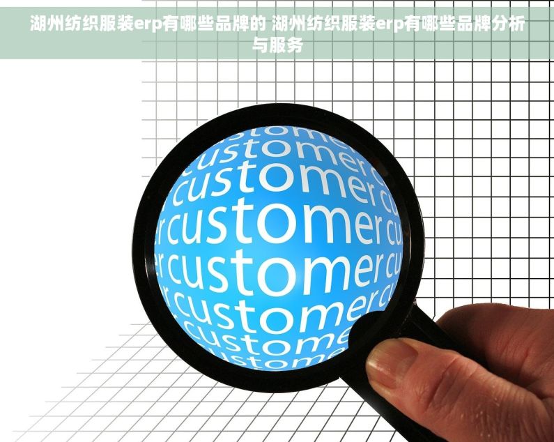 湖州纺织服装erp有哪些品牌的 湖州纺织服装erp有哪些品牌分析与服务
