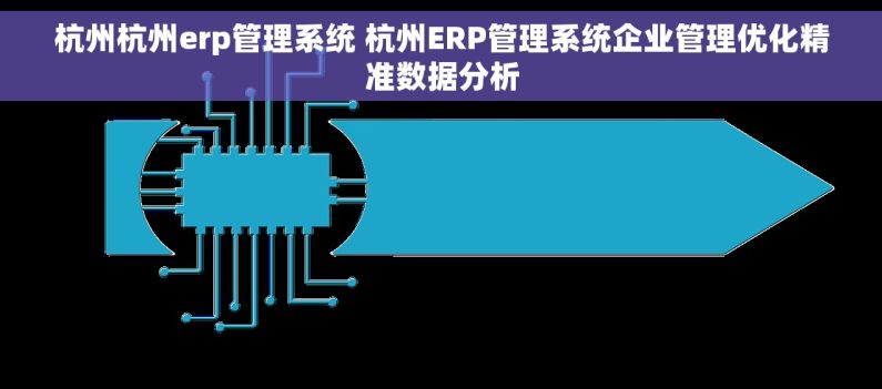 杭州杭州erp管理系统 杭州ERP管理系统企业管理优化精准数据分析