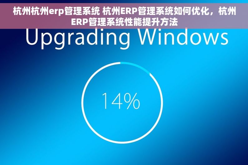 杭州杭州erp管理系统 杭州ERP管理系统如何优化，杭州ERP管理系统性能提升方法