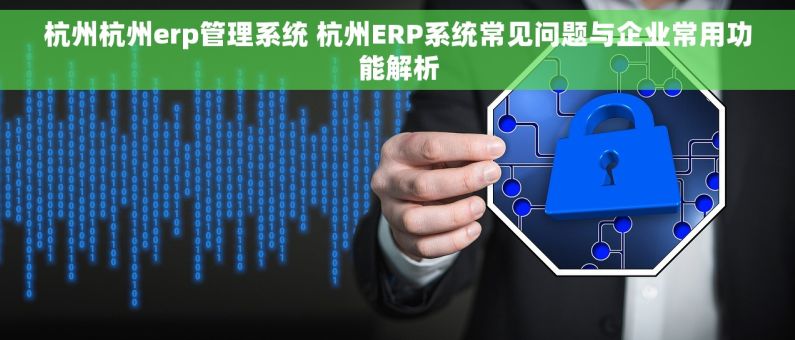 杭州杭州erp管理系统 杭州ERP系统常见问题与企业常用功能解析