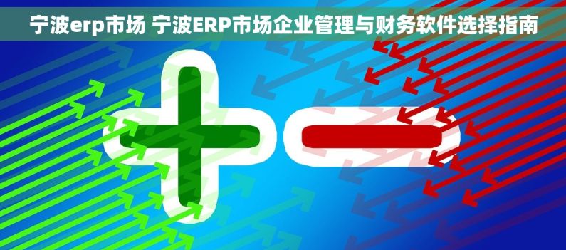 宁波erp市场 宁波ERP市场企业管理与财务软件选择指南