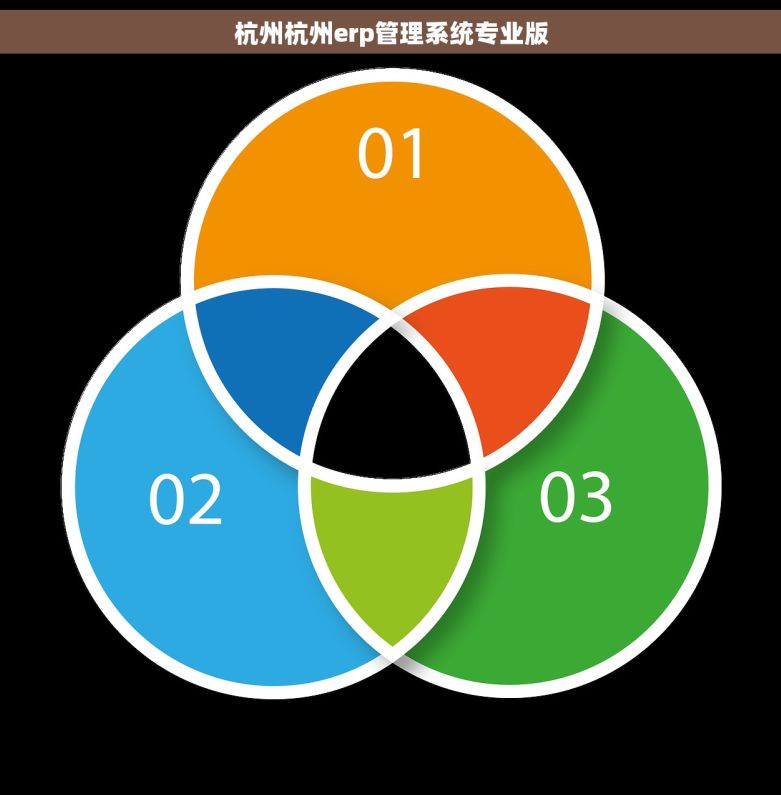 杭州杭州erp管理系统专业版