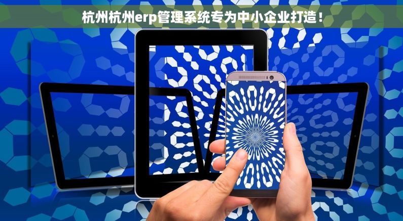 杭州杭州erp管理系统专为中小企业打造！