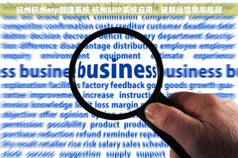 杭州杭州erp管理系统 杭州ERP系统应用，破解运营效率瓶颈