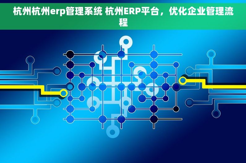 杭州杭州erp管理系统 杭州ERP平台，优化企业管理流程