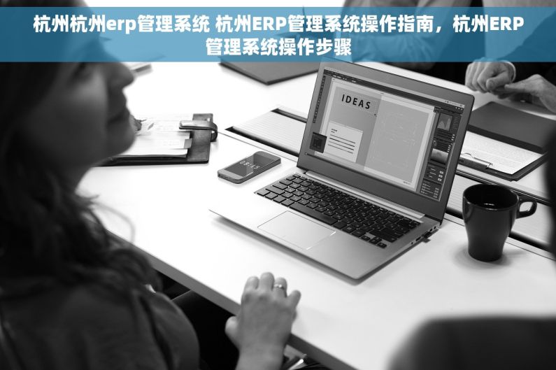 杭州杭州erp管理系统 杭州ERP管理系统操作指南，杭州ERP管理系统操作步骤