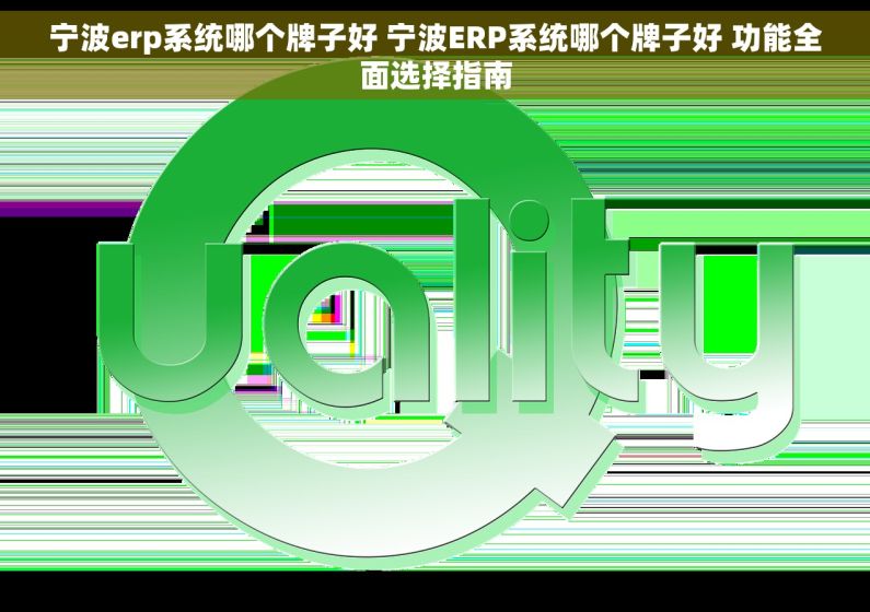 宁波erp系统哪个牌子好 宁波ERP系统哪个牌子好 功能全面选择指南