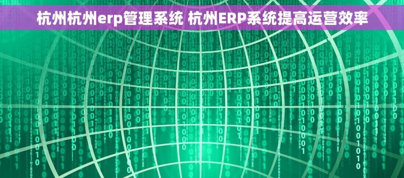 杭州杭州erp管理系统 杭州ERP系统提高运营效率