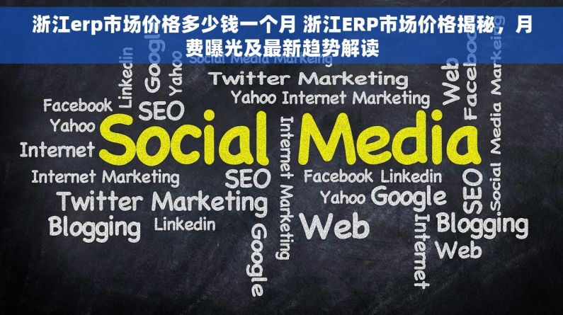 浙江erp市场价格多少钱一个月 浙江ERP市场价格揭秘，月费曝光及最新趋势解读