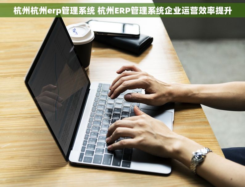 杭州杭州erp管理系统 杭州ERP管理系统企业运营效率提升