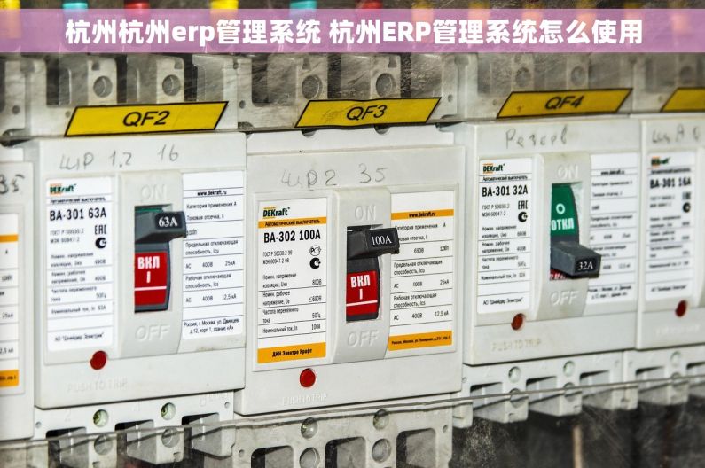 杭州杭州erp管理系统 杭州ERP管理系统怎么使用