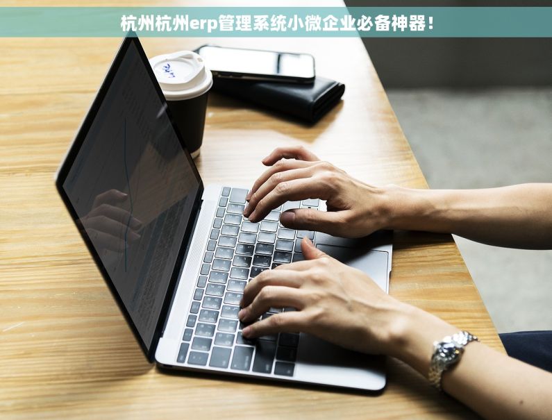 杭州杭州erp管理系统小微企业必备神器！