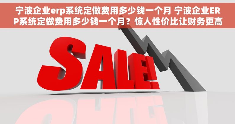宁波企业erp系统定做费用多少钱一个月 宁波企业ERP系统定做费用多少钱一个月？惊人性价比让财务更高效！