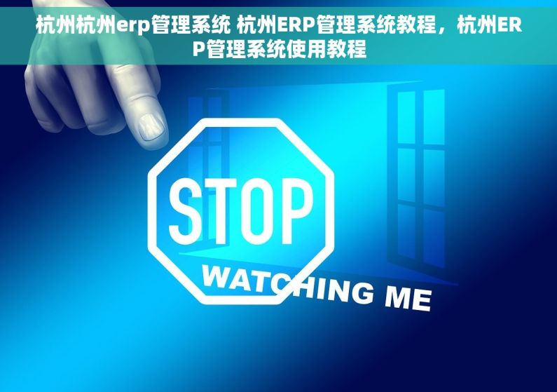 杭州杭州erp管理系统 杭州ERP管理系统教程，杭州ERP管理系统使用教程