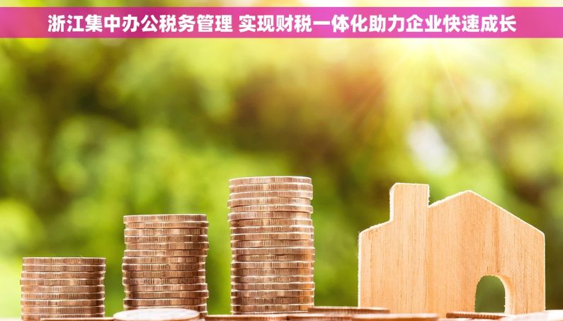 浙江集中办公税务管理 实现财税一体化助力企业快速成长