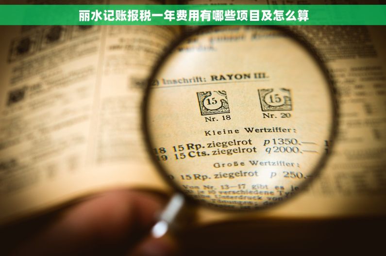 丽水记账报税一年费用有哪些项目及怎么算
