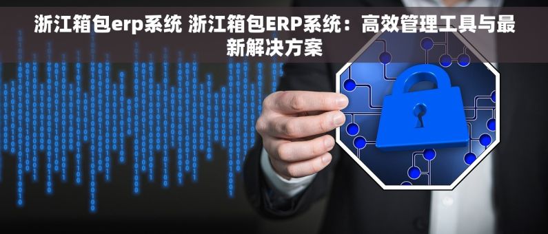 浙江箱包erp系统 浙江箱包ERP系统：高效管理工具与最新解决方案