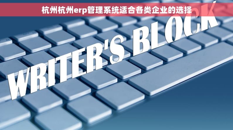 杭州杭州erp管理系统适合各类企业的选择
