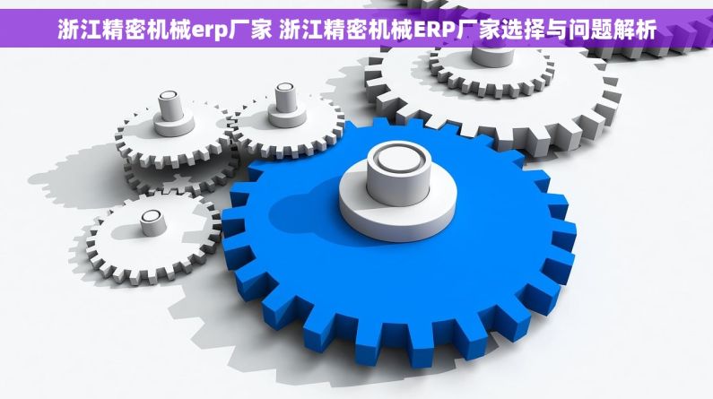 浙江精密机械erp厂家 浙江精密机械ERP厂家选择与问题解析