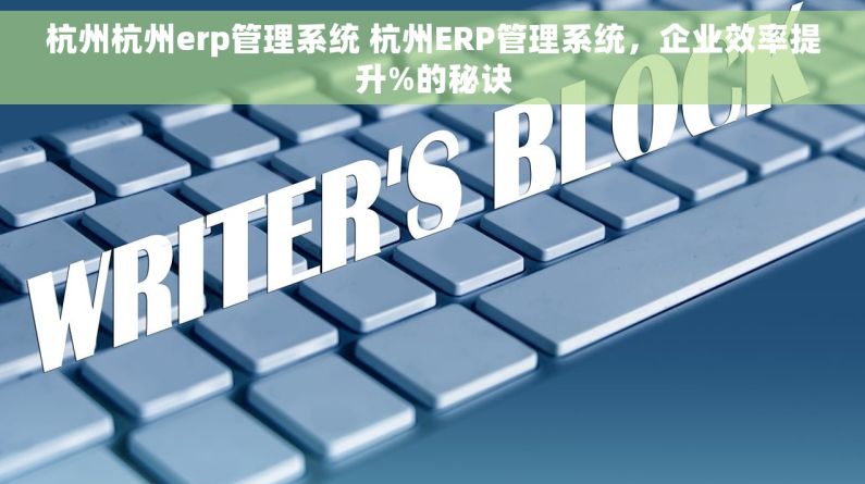 杭州杭州erp管理系统 杭州ERP管理系统，企业效率提升%的秘诀